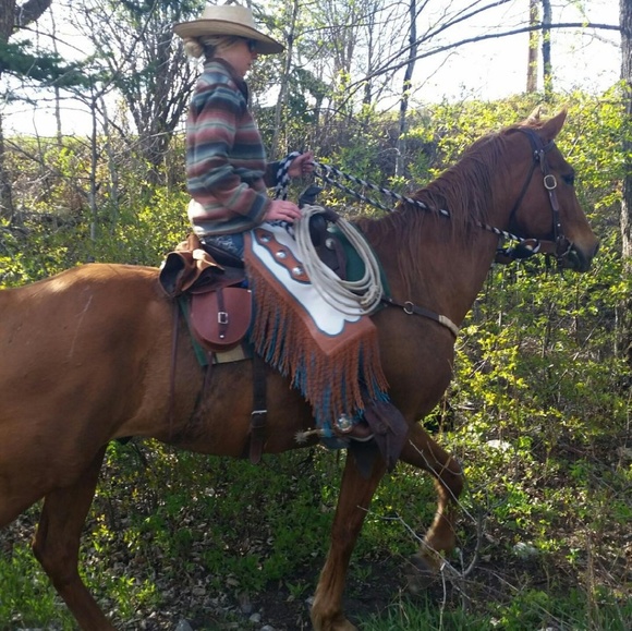 Meet the Posher - Picture 4 of 8